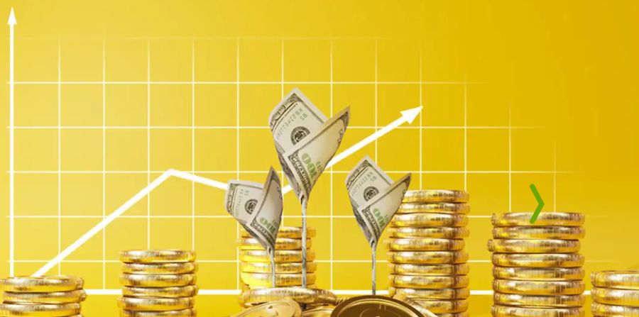 Warum Wildz nicht funktioniert